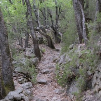 Photo de France - La randonnée des Gorges d'Héric